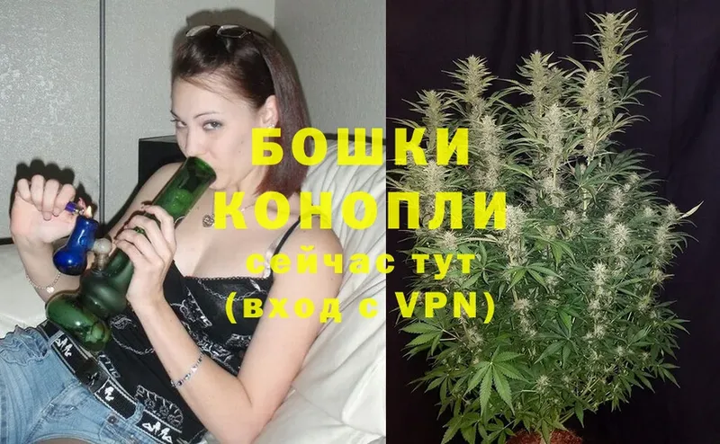 Бошки марихуана White Widow  купить  сайты  МЕГА как войти  Тольятти 